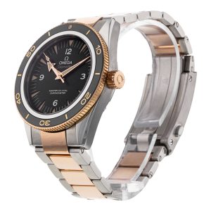 Seamaster 300
233.20.41.21.01.001