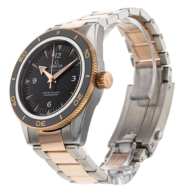 Seamaster 300
233.20.41.21.01.001