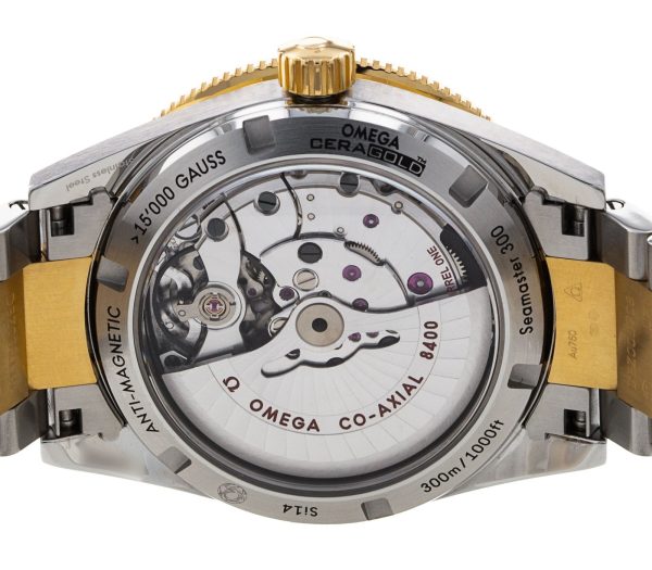 Seamaster 300
233.20.41.21.01.002 - Image 3
