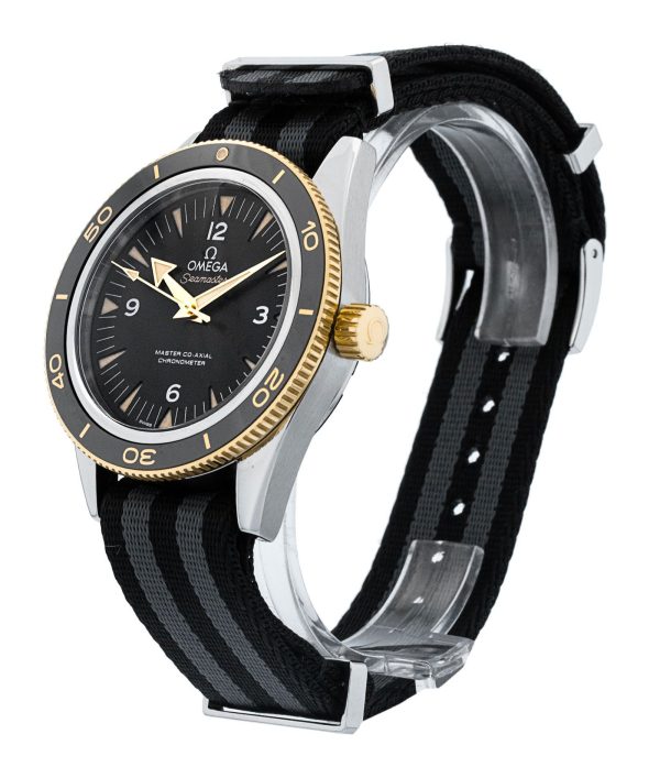 Seamaster 300
233.22.41.21.01.001