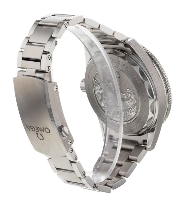 Seamaster 300
234.30.41.21.03.002