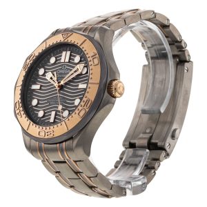 Seamaster Diver 300m
210.60.42.20.99.001
