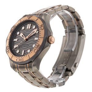 Seamaster Diver 300m
210.60.42.20.99.001
