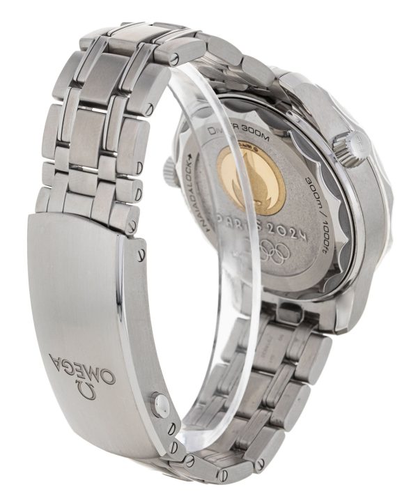 Seamaster Diver 300m
522.21.42.20.04.001